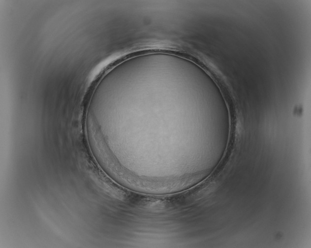 X0000110681222200906261313