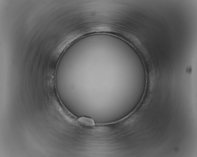 X0000110681225200906261313