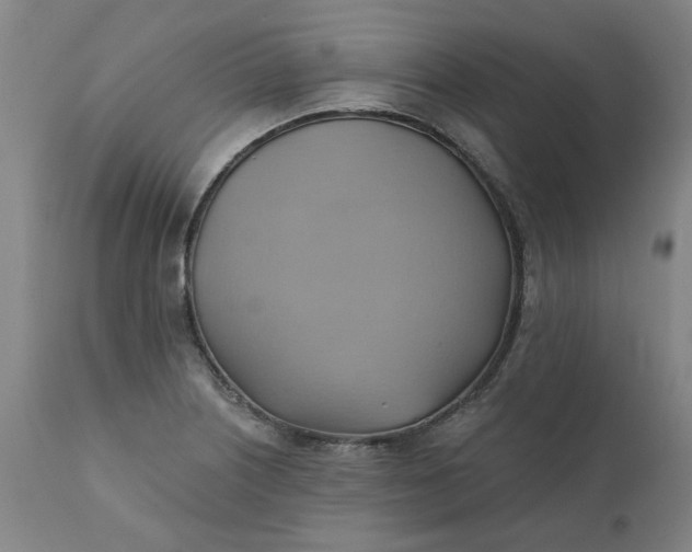 X0000110681226200906261313