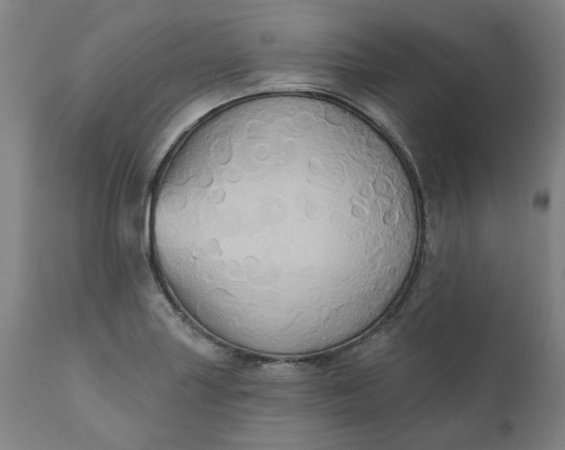 X0000110681227200906261313