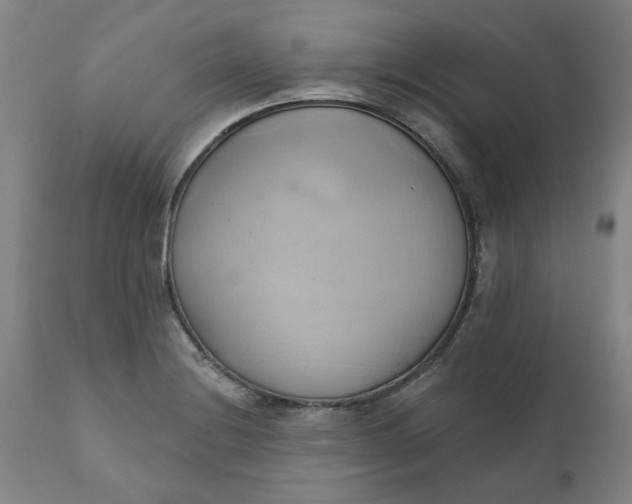 X0000110681228200906261313