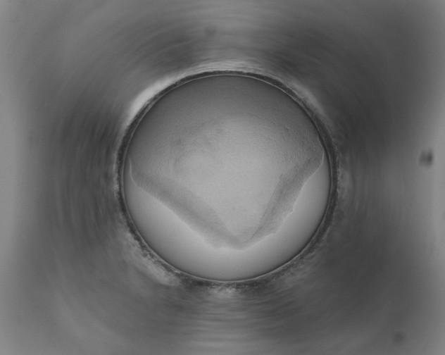 X0000110681230200906261313