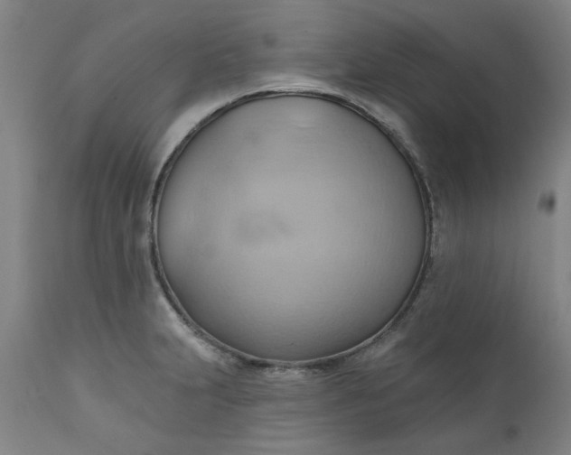 X0000110681231200906261313