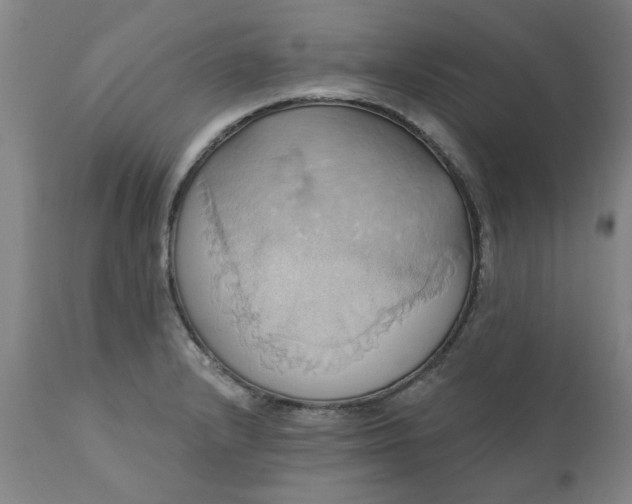 X0000110681232200906261313