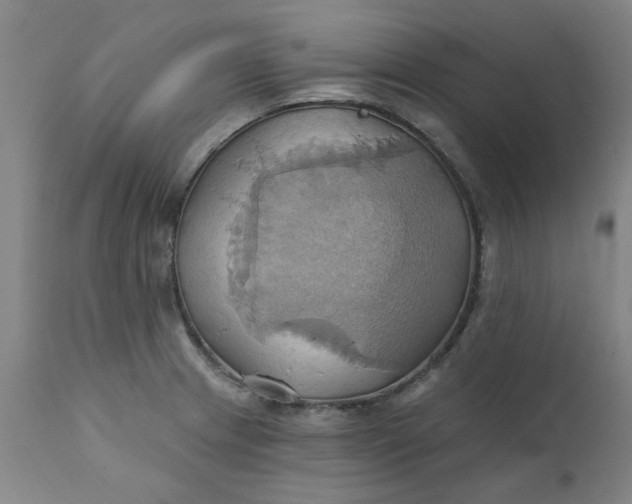 X0000110681233200906261313