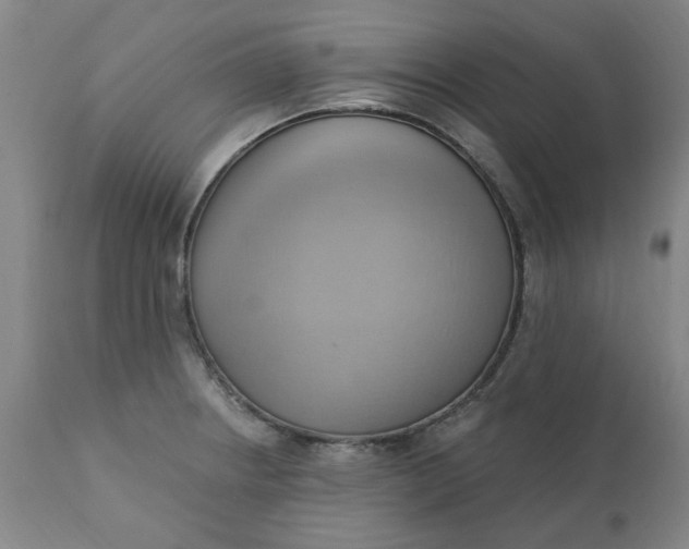 X0000110681234200906261313