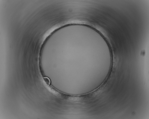 X0000110681237200906261313