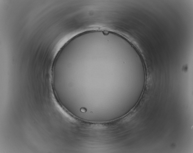 X0000110681239200906261313