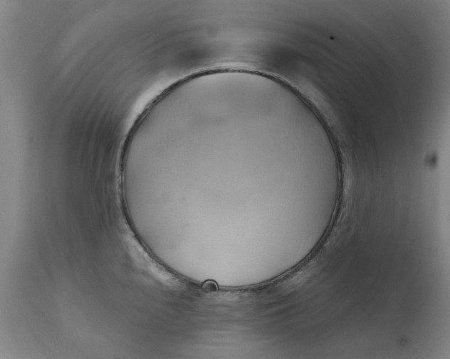 X0000110681240200906261313