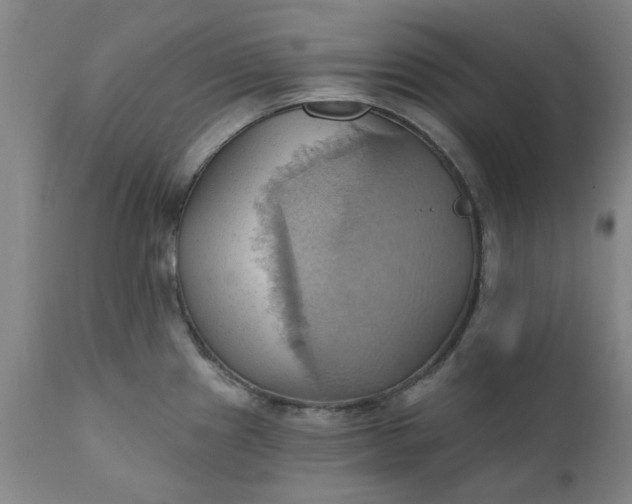 X0000110681241200906261313