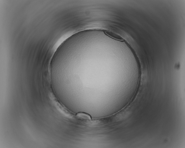 X0000110681242200906261313