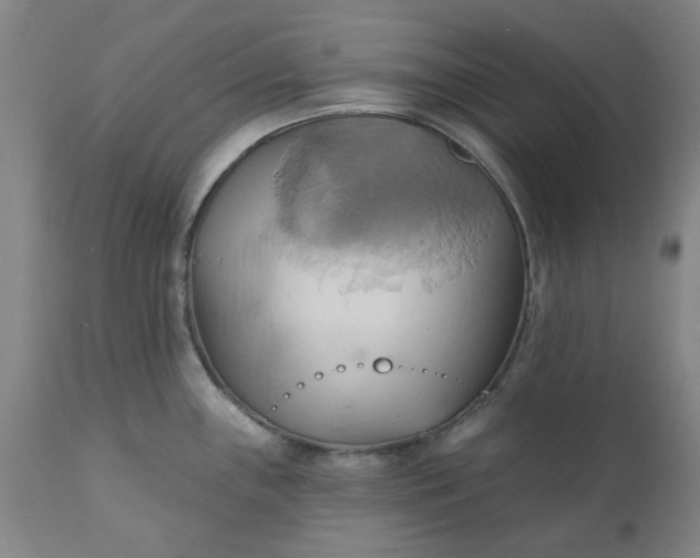 X0000110681243200906261313