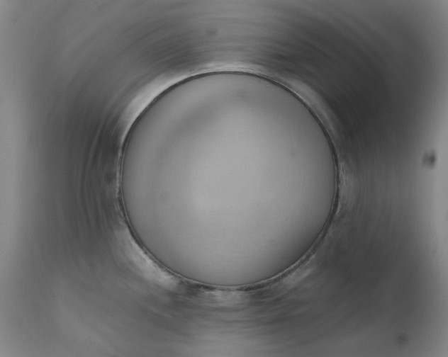 X0000110681244200906261313