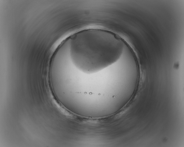 X0000110681245200906261313