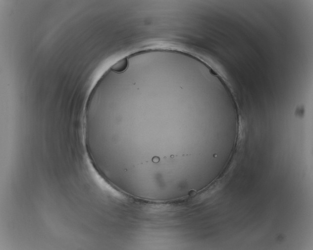 X0000110681247200906261313