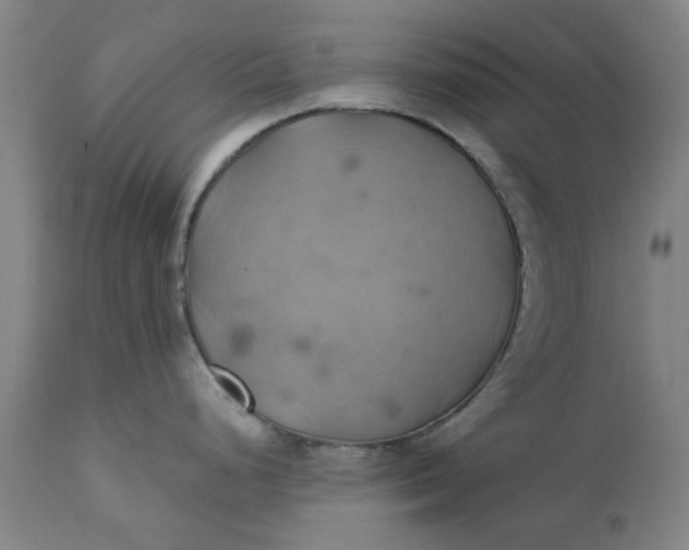 X0000110681248200906261313