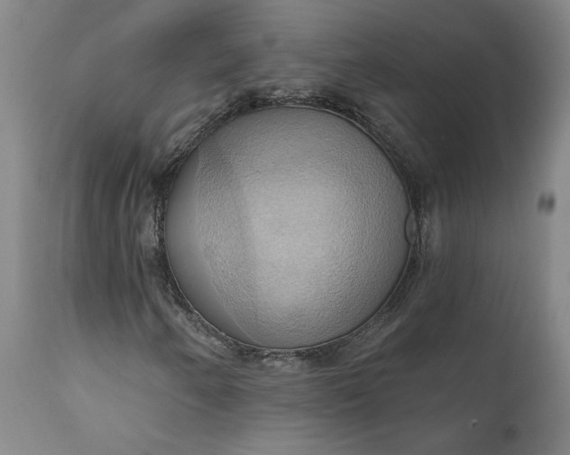 X0000110681250200906261312