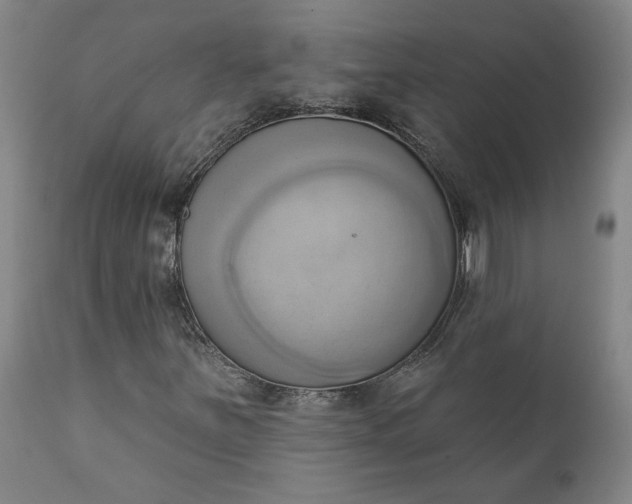 X0000110681251200906261312