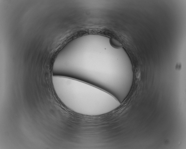 X0000110681252200906261312