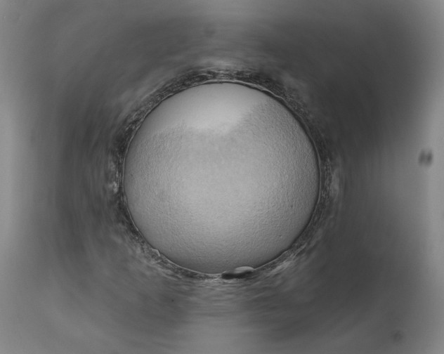 X0000110681253200906261312