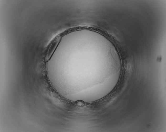 X0000110681256200906261312