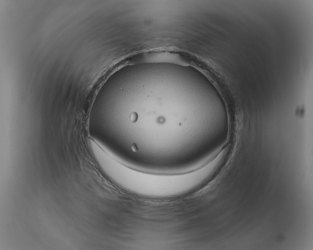 X0000110681257200906261312