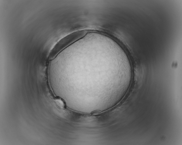 X0000110681260200906261312