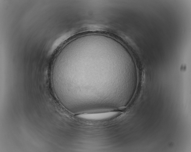 X0000110681261200906261312