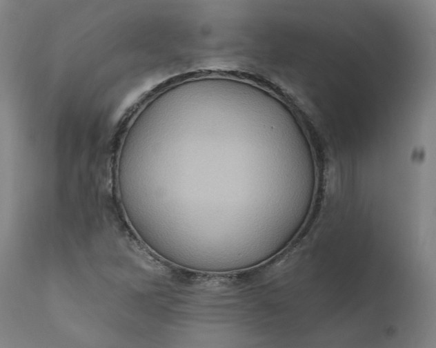 X0000110681262200906261312