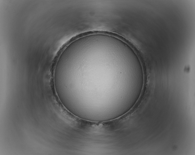 X0000110681264200906261312