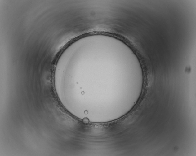 X0000110681266200906261312