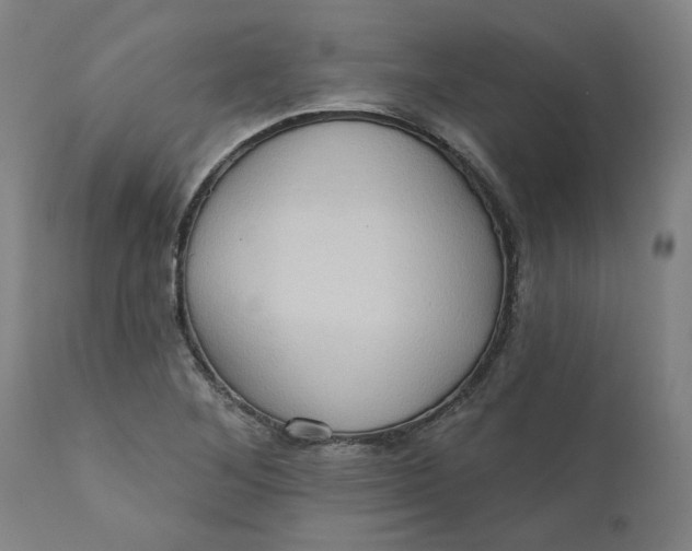 X0000110681268200906261312