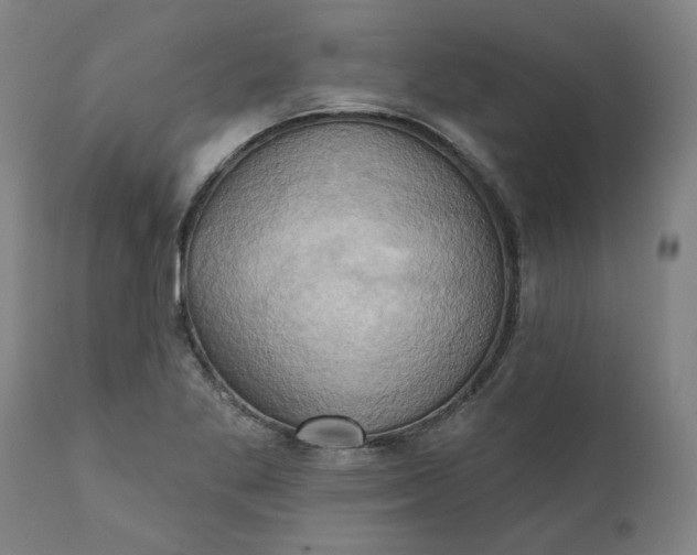 X0000110681269200906261312