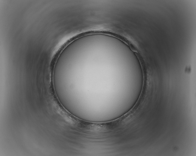 X0000110681270200906261312