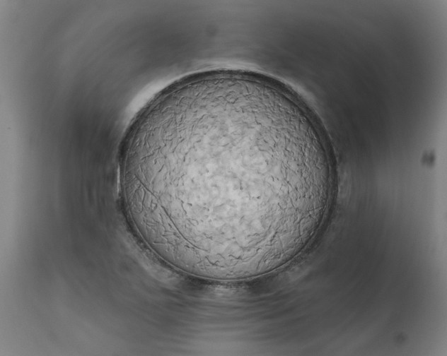 X0000110681271200906261312