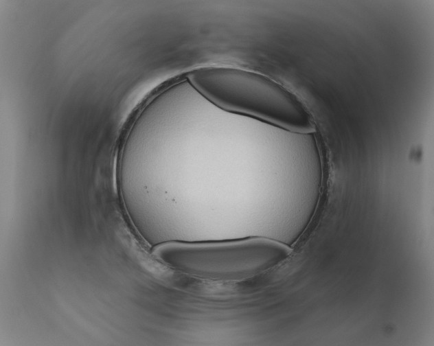 X0000110681272200906261312