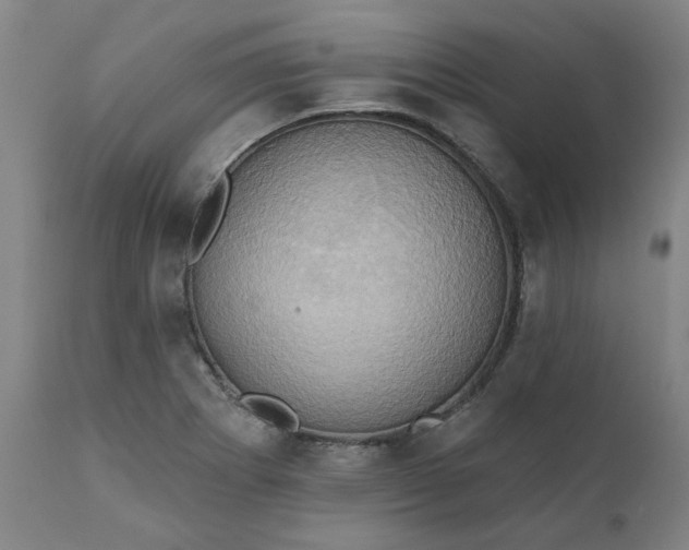 X0000110681273200906261312