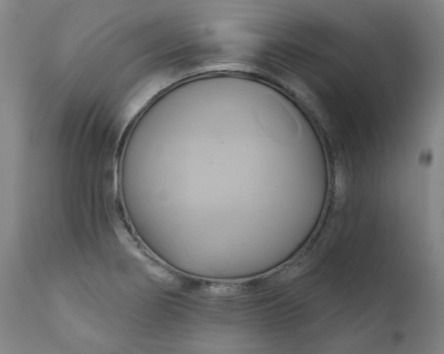 X0000110681274200906261312