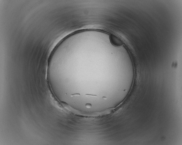 X0000110681276200906261312