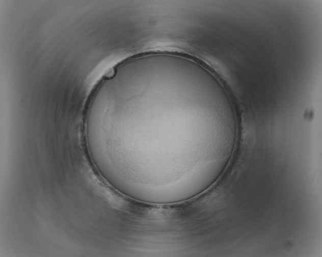 X0000110681277200906261312