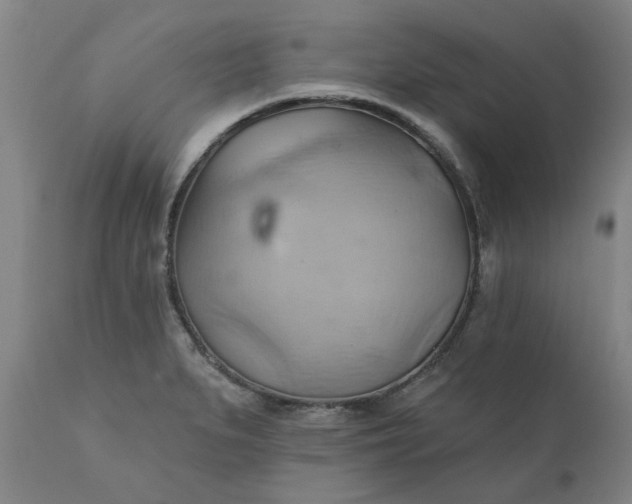 X0000110681279200906261312