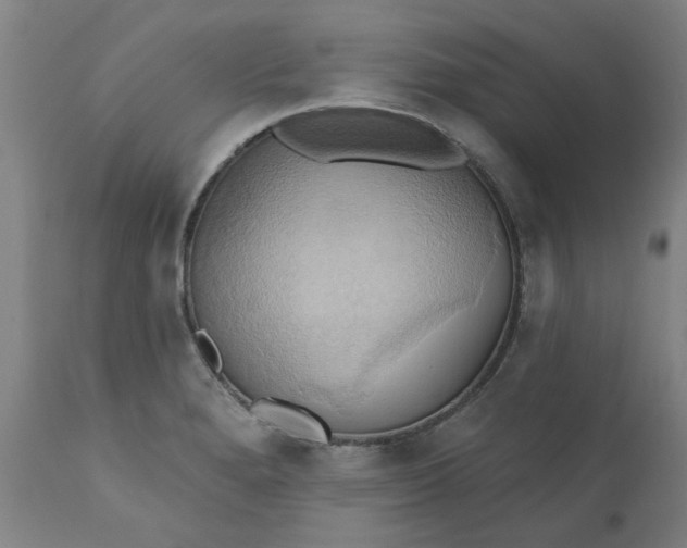 X0000110681280200906261312