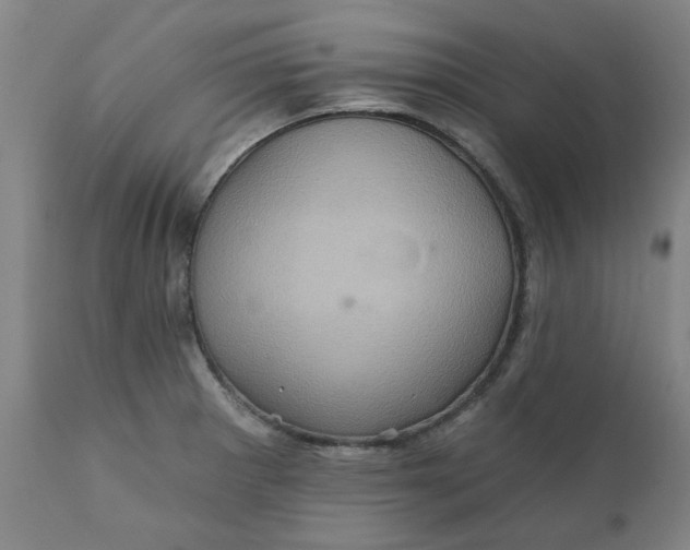 X0000110681281200906261312