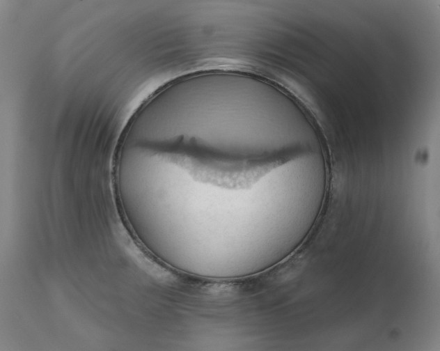 X0000110681283200906261312