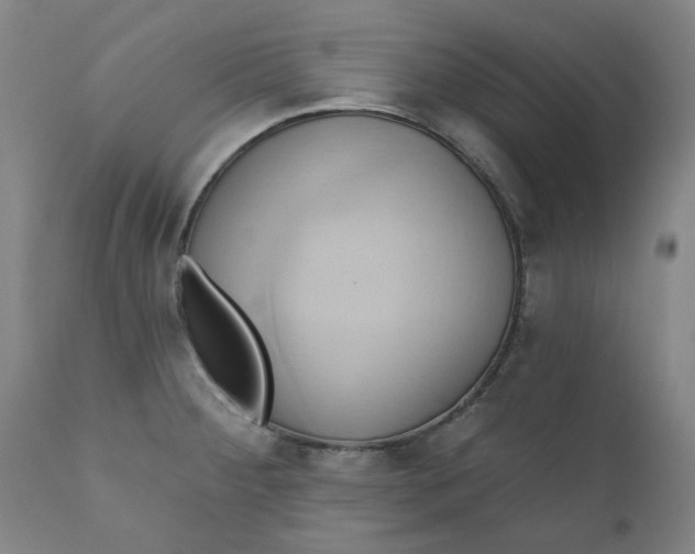 X0000110681284200906261312