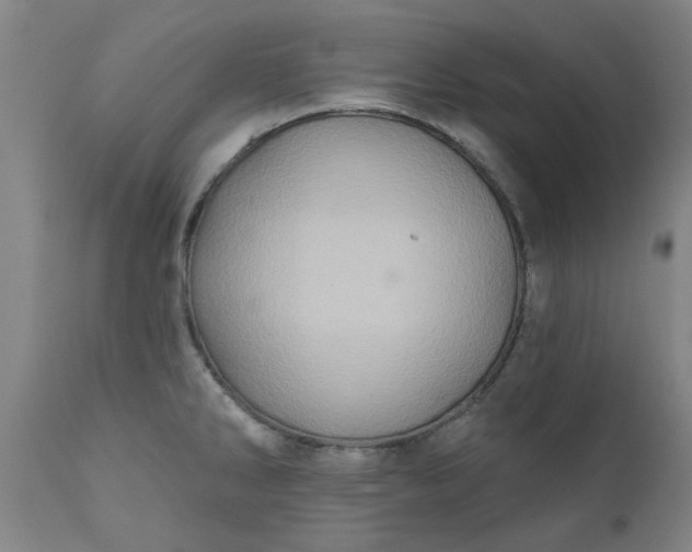 X0000110681286200906261312