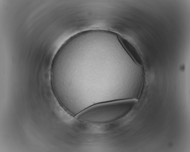 X0000110681288200906261312