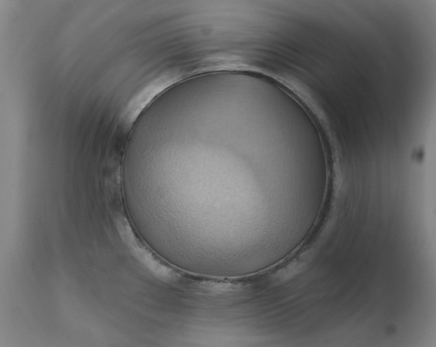 X0000110681289200906261312