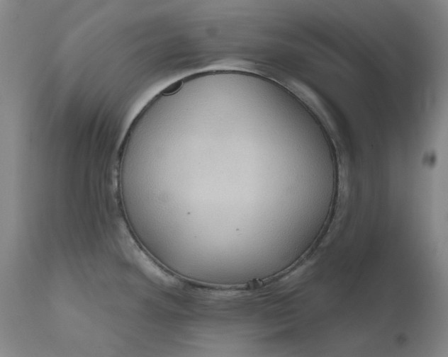 X0000110681292200906261312