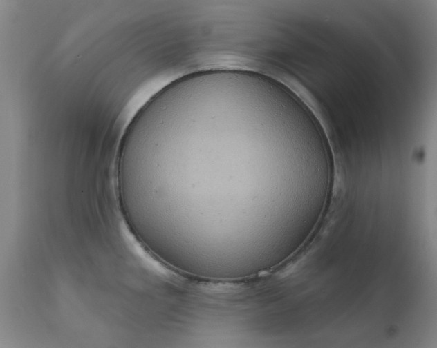 X0000110681293200906261312